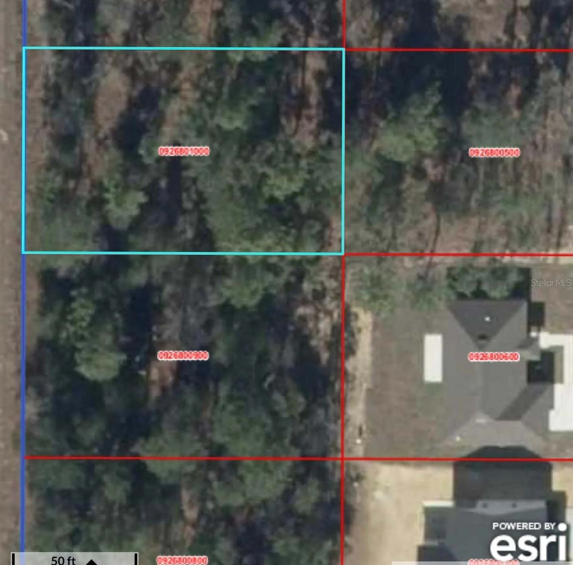 NE 151st Avenue Williston FL 32696