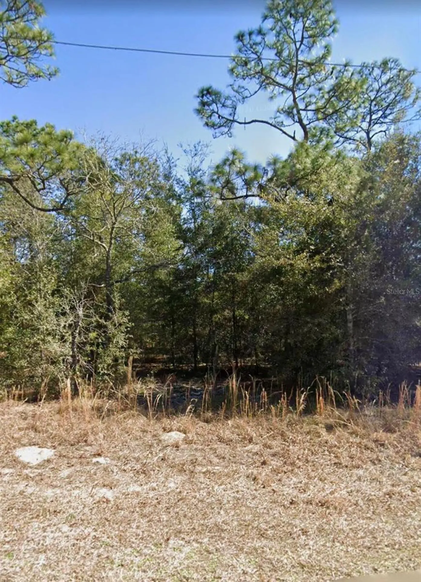 NE 151st Avenue Williston FL 32696