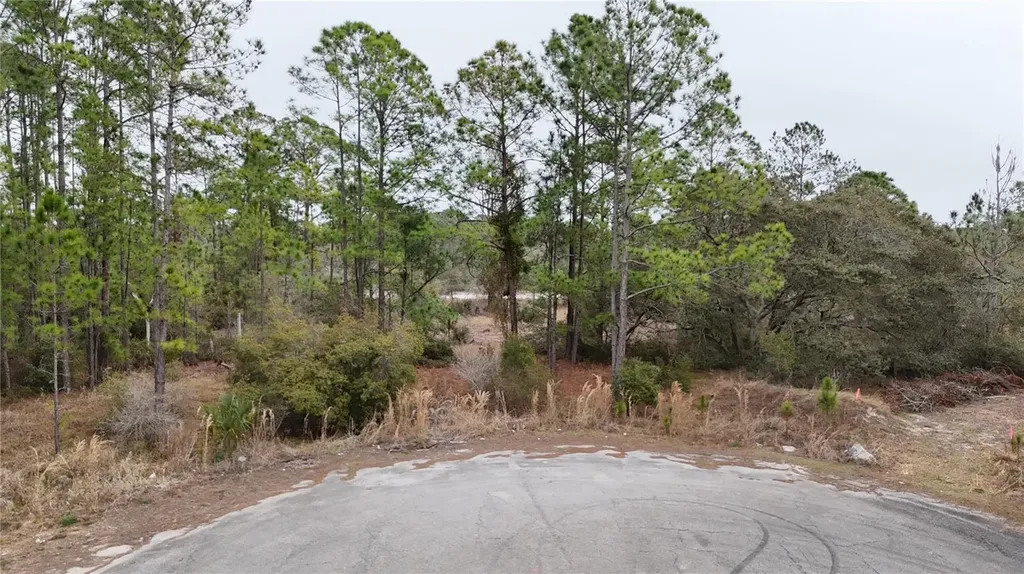 1256 Wahneta Drive Kissimmee FL 34759