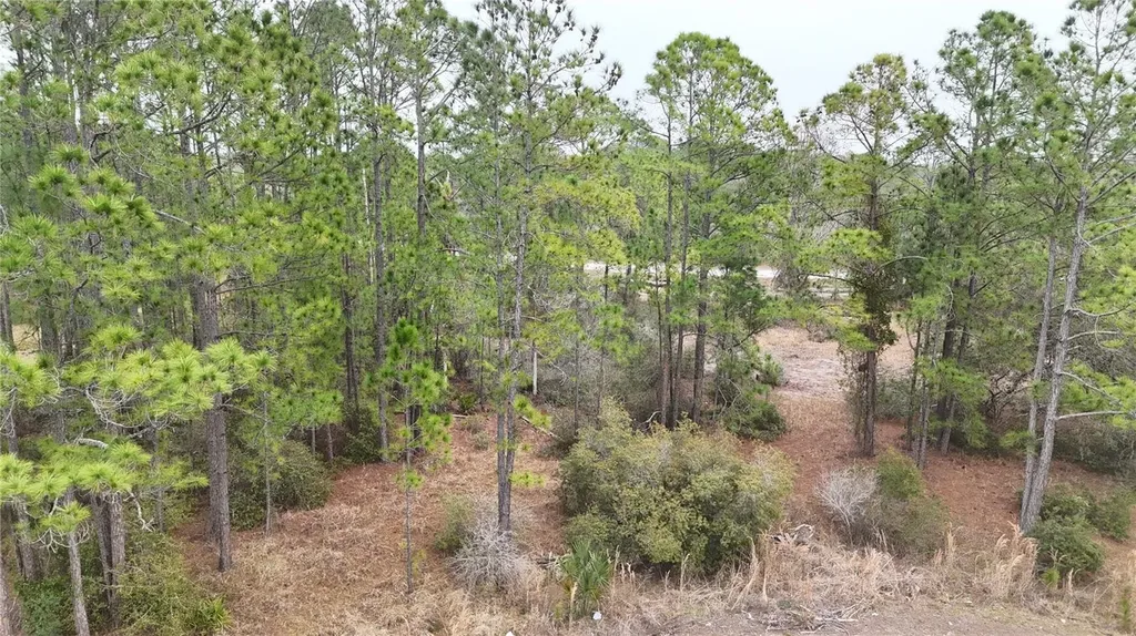 1256 Wahneta Drive Kissimmee FL 34759