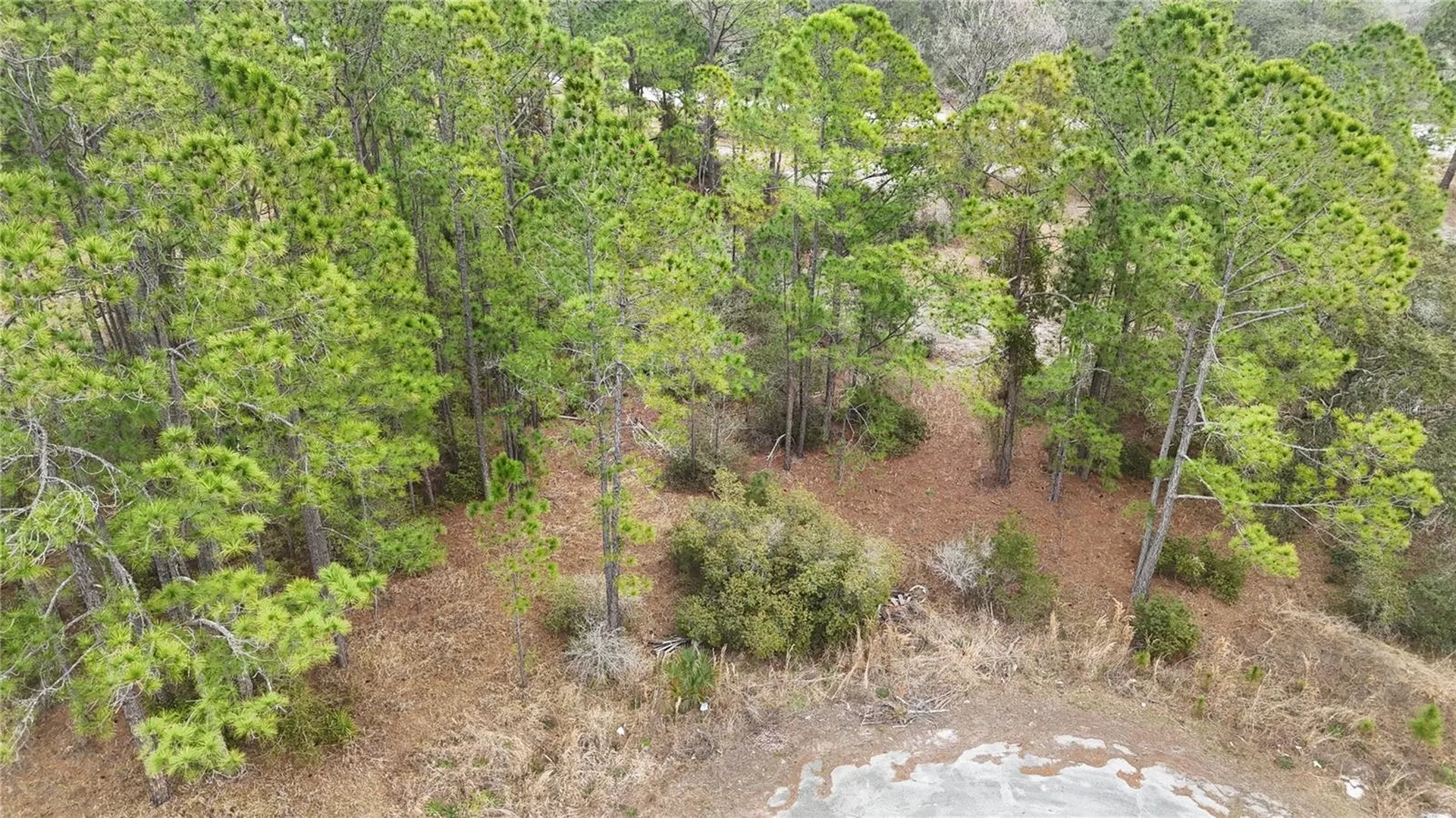 1256 Wahneta Drive Kissimmee FL 34759
