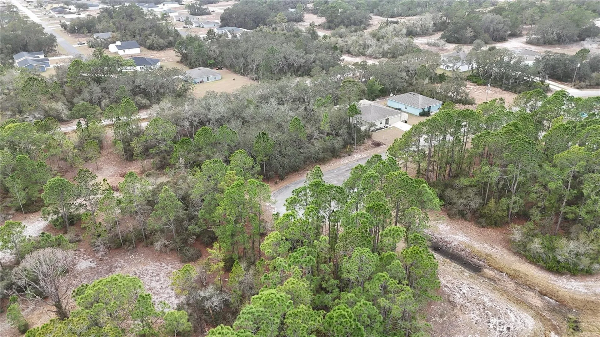 1256 Wahneta Drive Kissimmee FL 34759