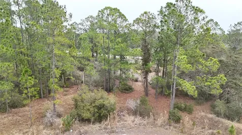 1256 Wahneta Drive Kissimmee FL 34759