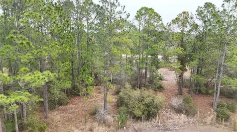 1256 Wahneta Drive Kissimmee FL 34759