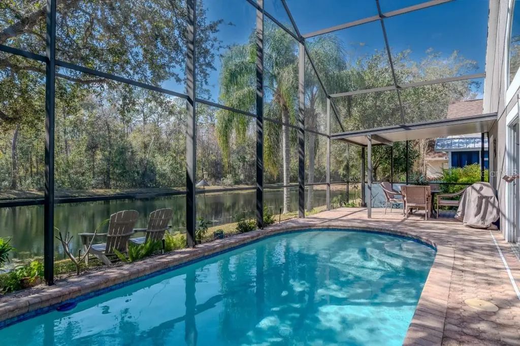 4932 Ridgemoor Circle Palm Harbor FL 34685