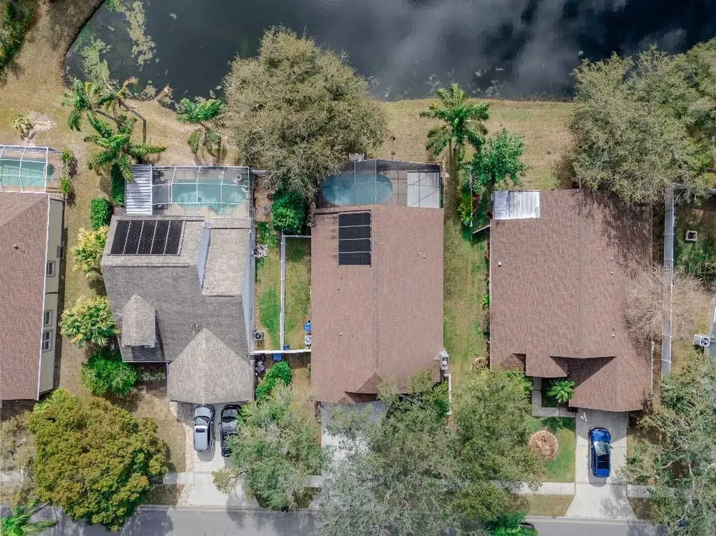 4932 Ridgemoor Circle Palm Harbor FL 34685