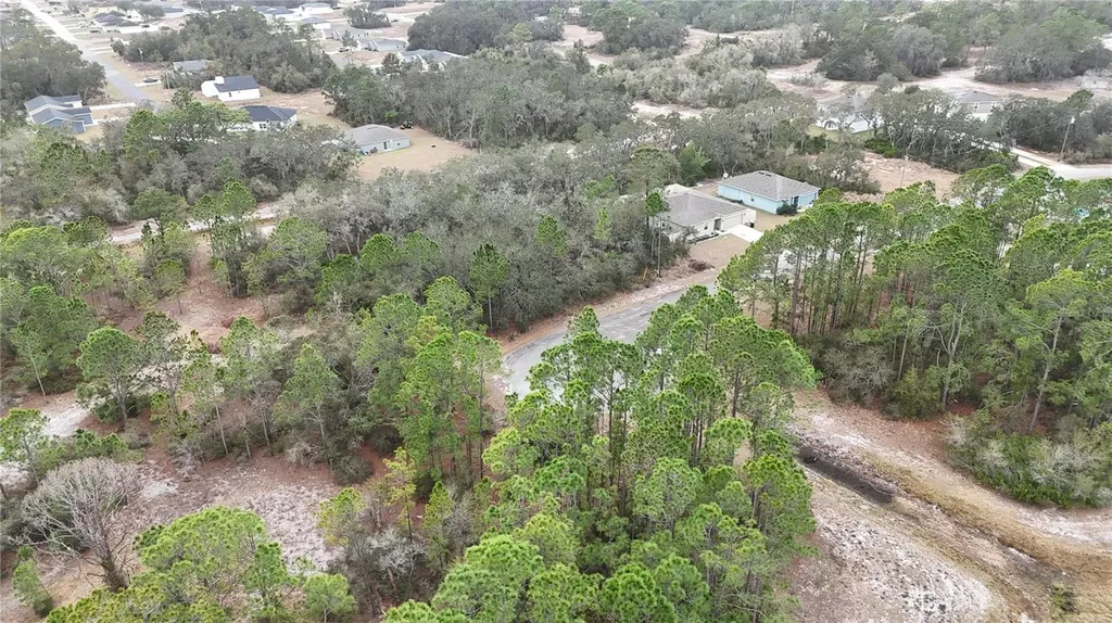 1255 Wahneta Drive Kissimmee FL 34759