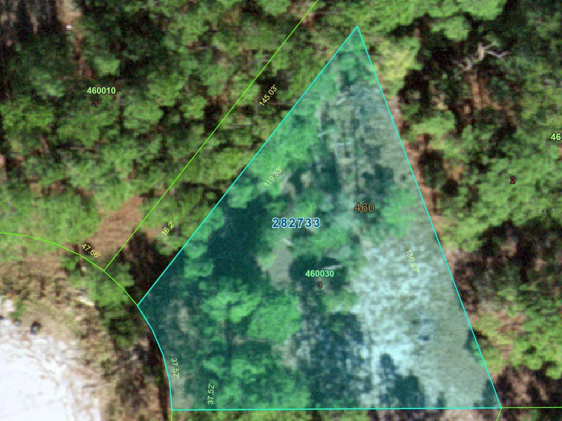 1255 Wahneta Drive Kissimmee FL 34759