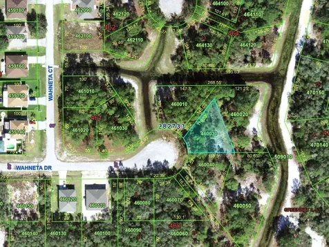 1255 Wahneta Drive Kissimmee FL 34759