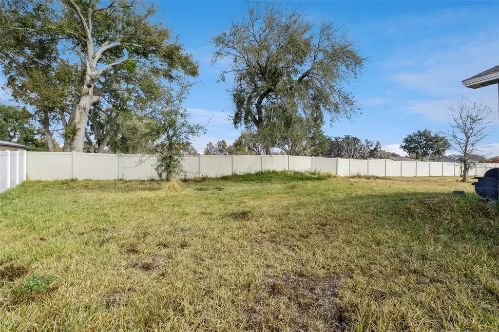 206 Lake Mariana Place Auburndale FL 33823