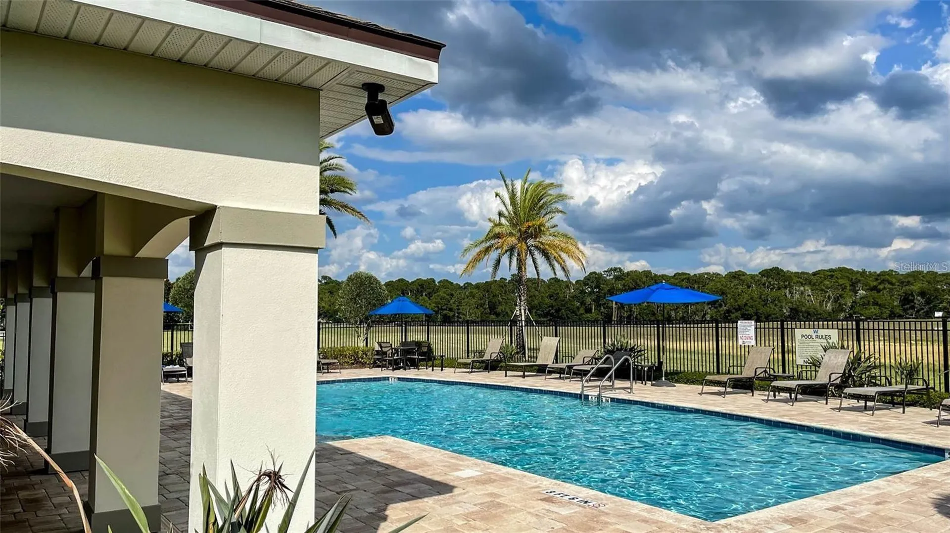 9972 Pallida Hickory Way Winter Garden FL 34787