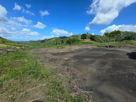 PR-155 Km 34.0 Barrio Perchas Morovis PR 00687