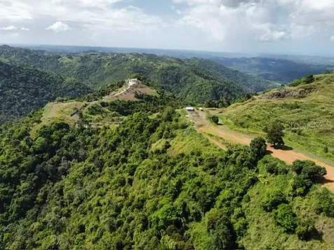 PR-155 Km 34.0 Barrio Perchas Morovis PR 00687