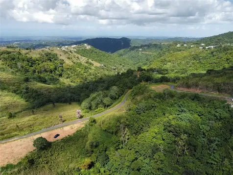 PR-155 Km 34.0 Barrio Perchas Morovis PR 00687