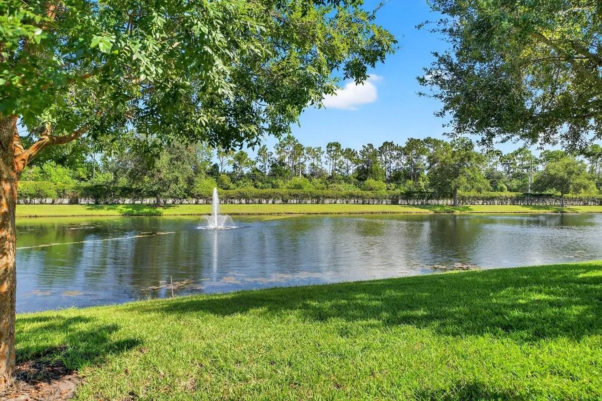 1204 Draycott Street Ormond Beach FL 32174