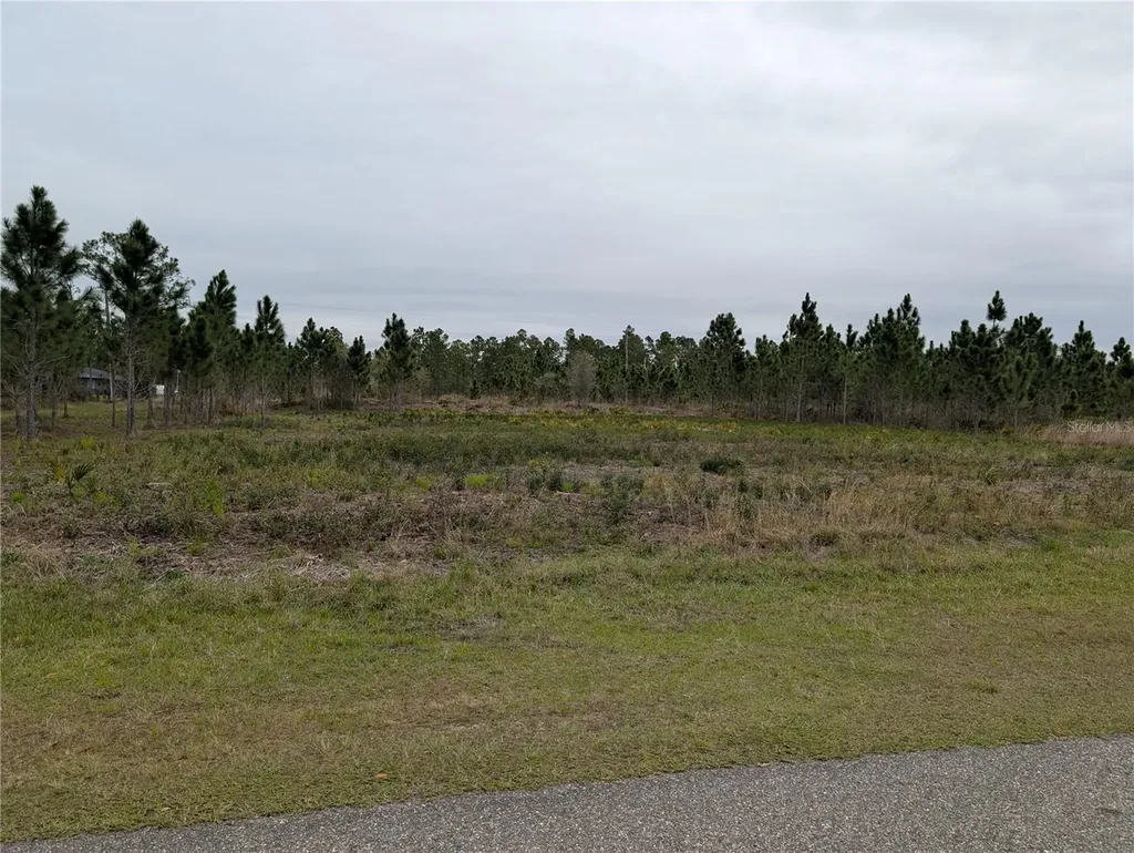 224 Poinciana Drive Indian Lake Estates FL 33855