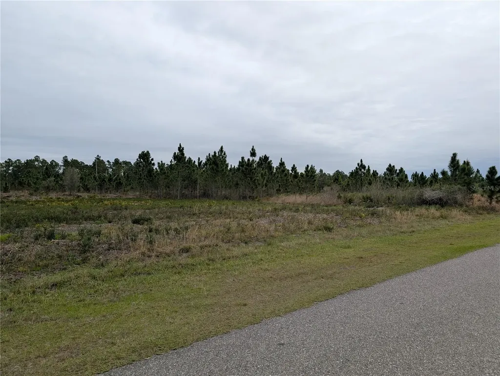 224 Poinciana Drive Indian Lake Estates FL 33855
