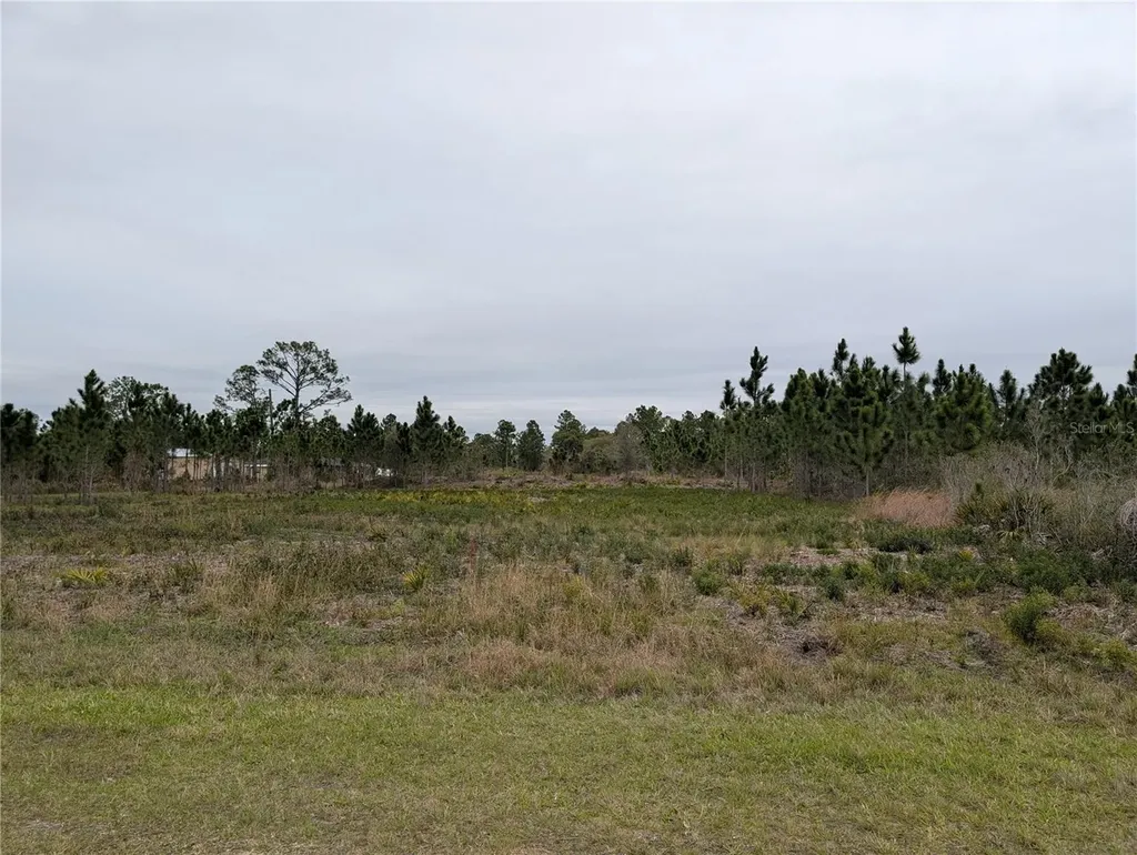 224 Poinciana Drive Indian Lake Estates FL 33855