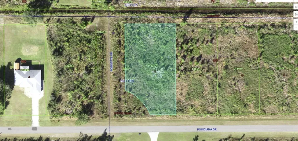 224 Poinciana Drive Indian Lake Estates FL 33855