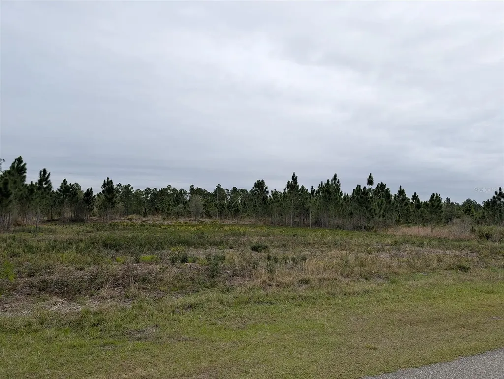 224 Poinciana Drive Indian Lake Estates FL 33855