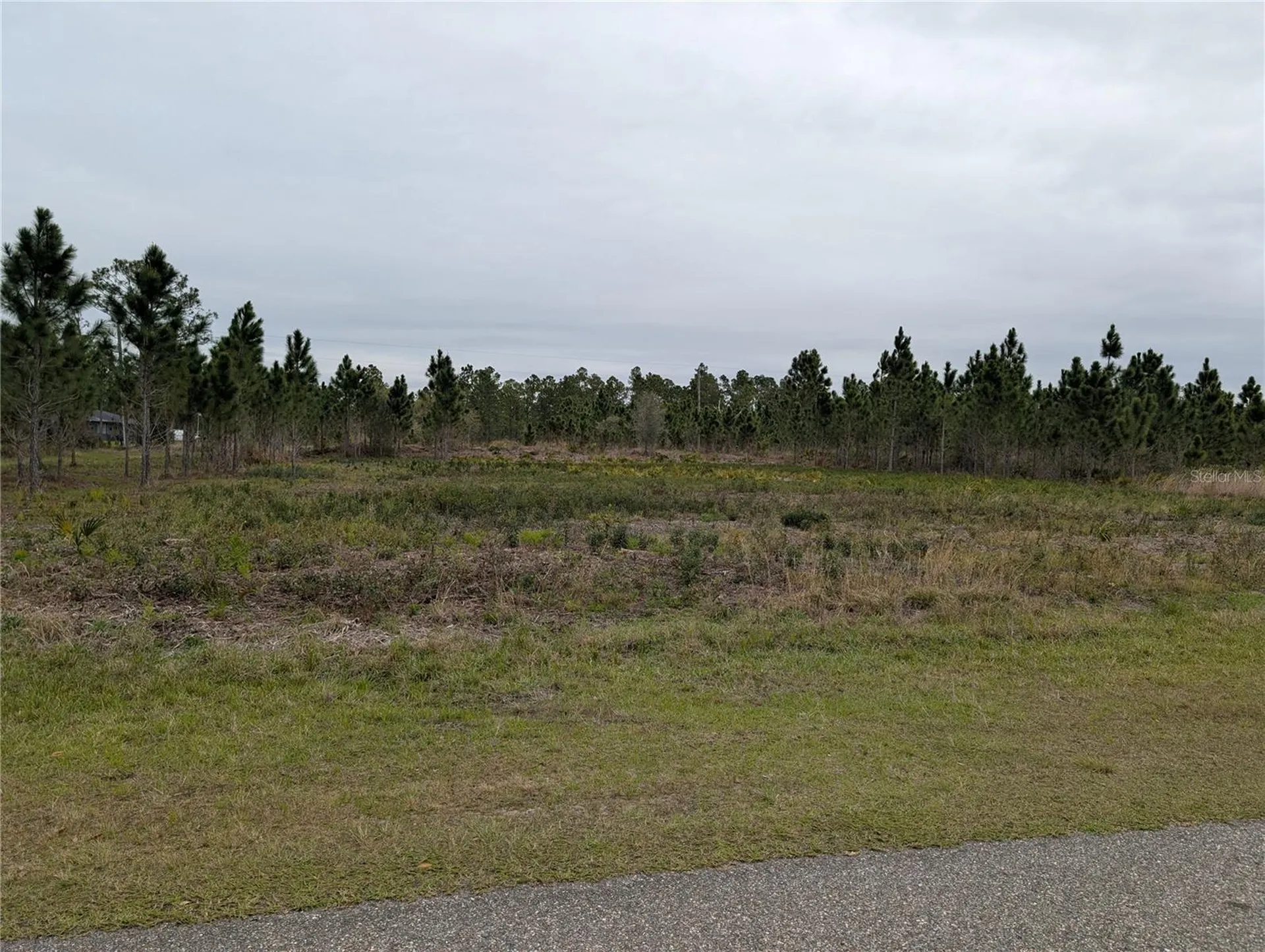 224 Poinciana Drive Indian Lake Estates FL 33855