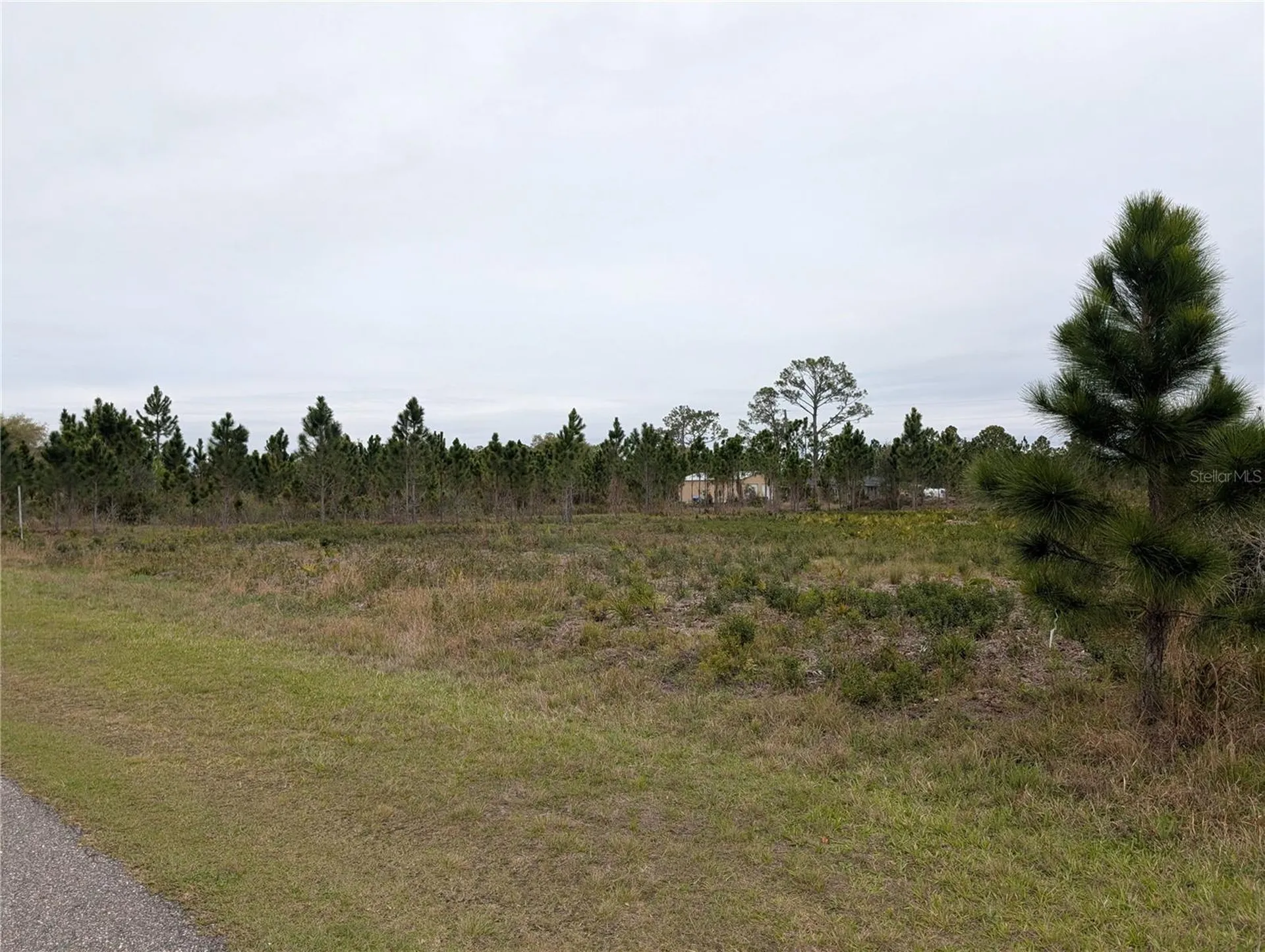 224 Poinciana Drive Indian Lake Estates FL 33855