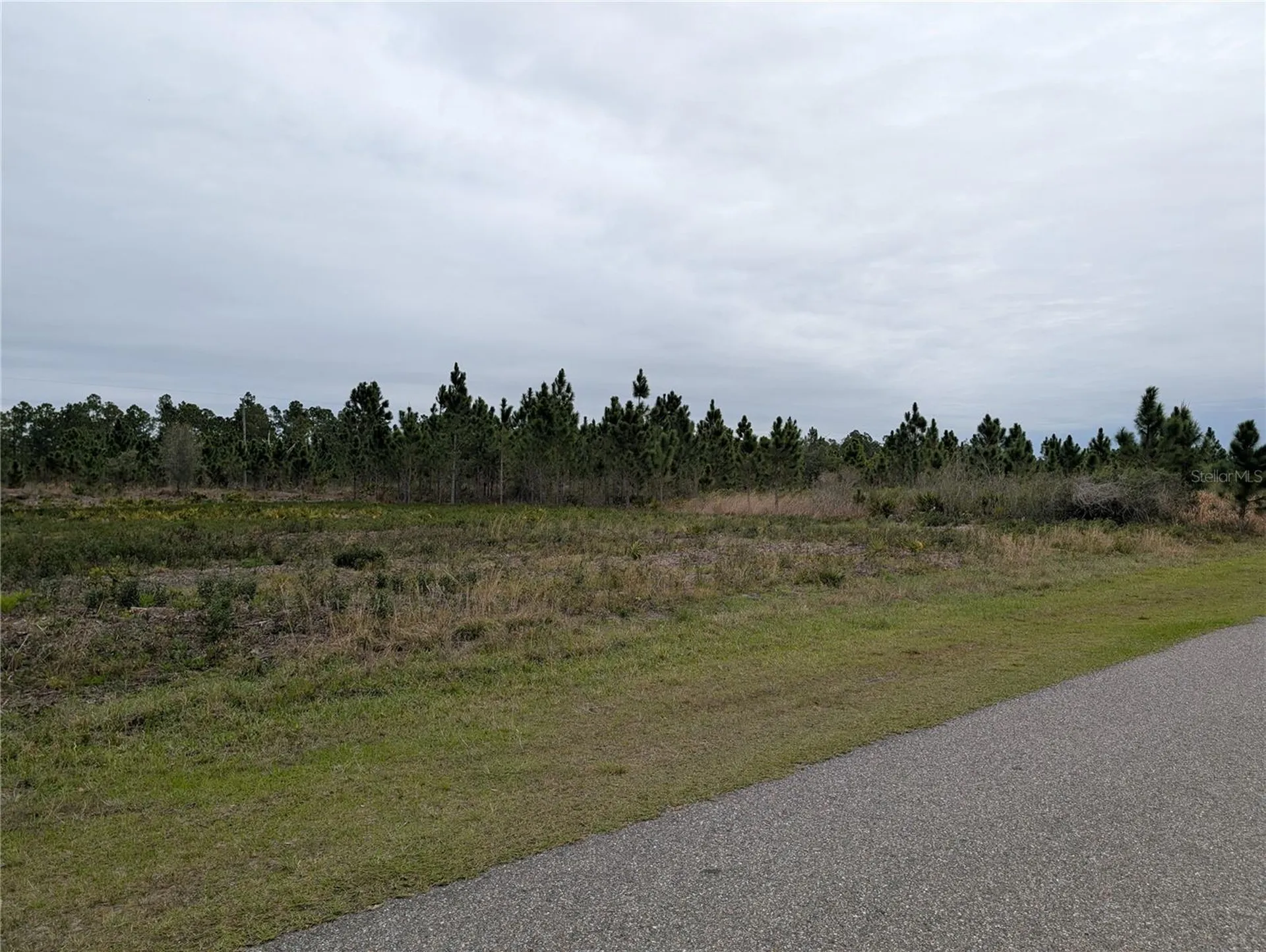 224 Poinciana Drive Indian Lake Estates FL 33855