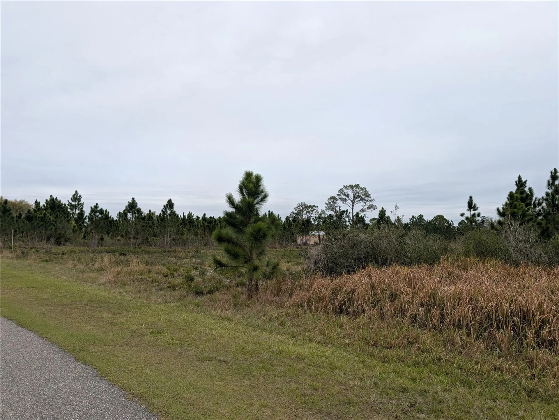 224 Poinciana Drive Indian Lake Estates FL 33855