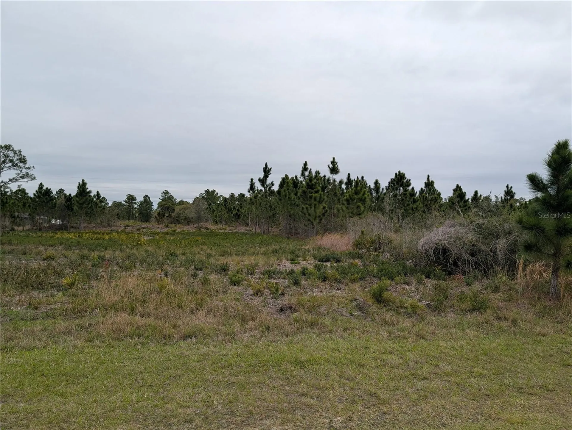 224 Poinciana Drive Indian Lake Estates FL 33855