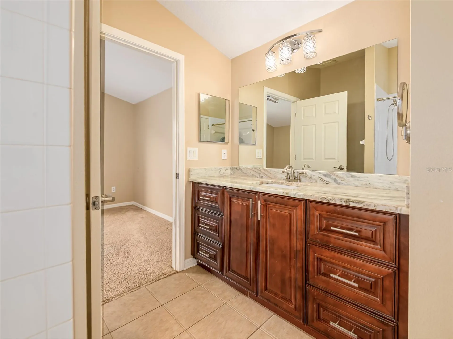 10515 Canary Isle Drive Tampa FL 33647