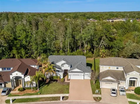 10515 Canary Isle Drive Tampa FL 33647
