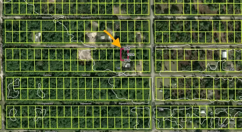 433 Gardenia Avenue Georgetown FL 32139