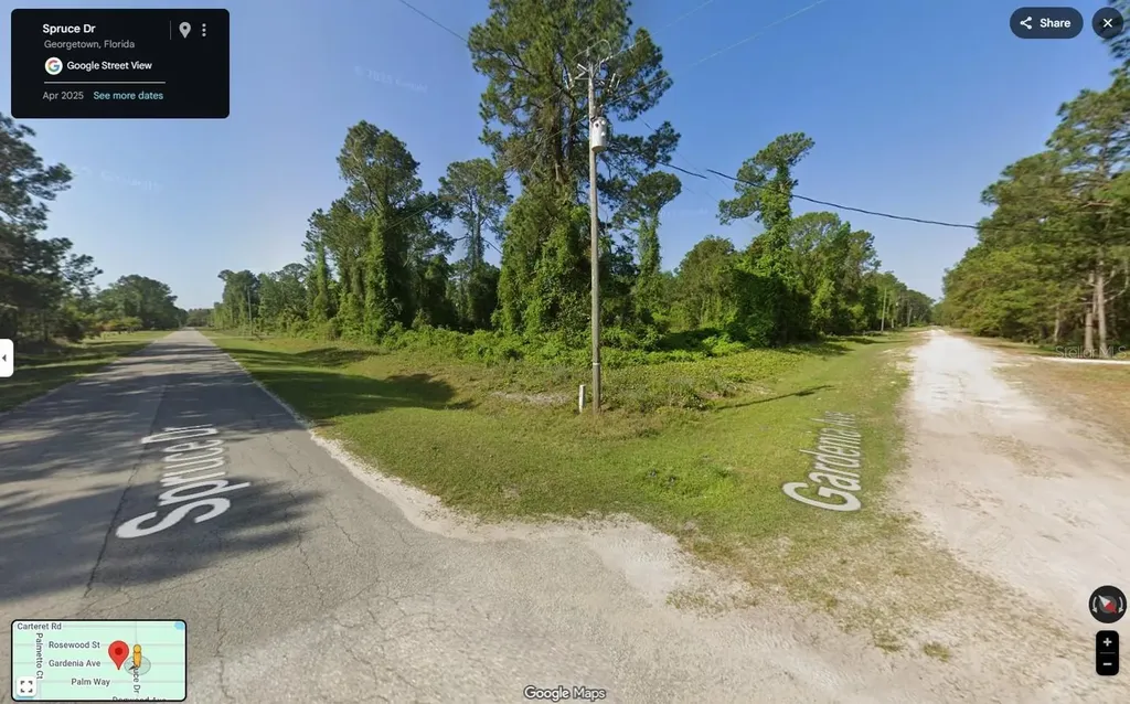 433 Gardenia Avenue Georgetown FL 32139
