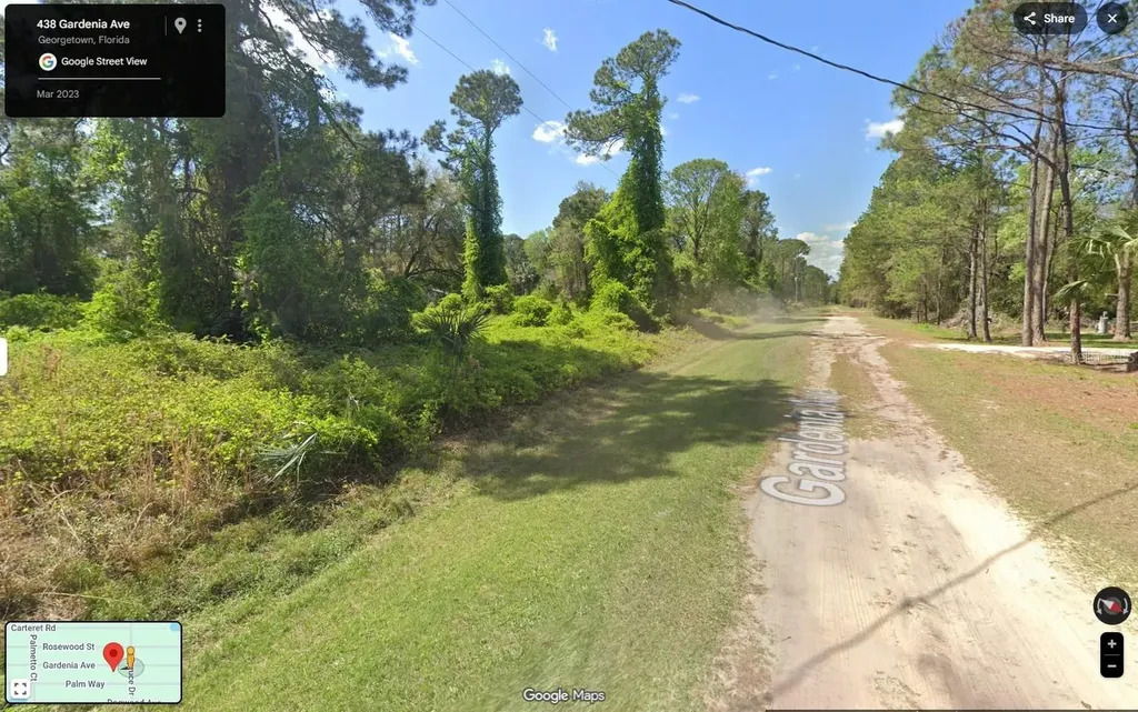 433 Gardenia Avenue Georgetown FL 32139