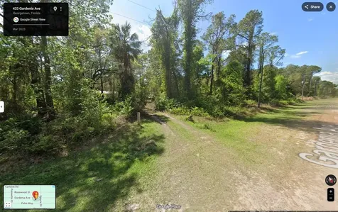 433 Gardenia Avenue Georgetown FL 32139