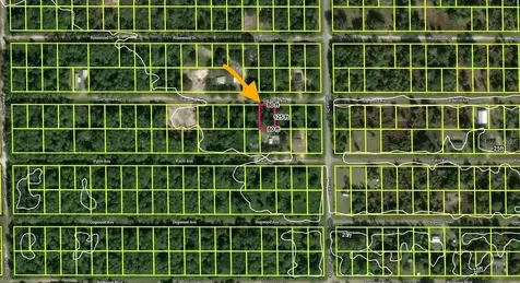 433 Gardenia Avenue Georgetown FL 32139