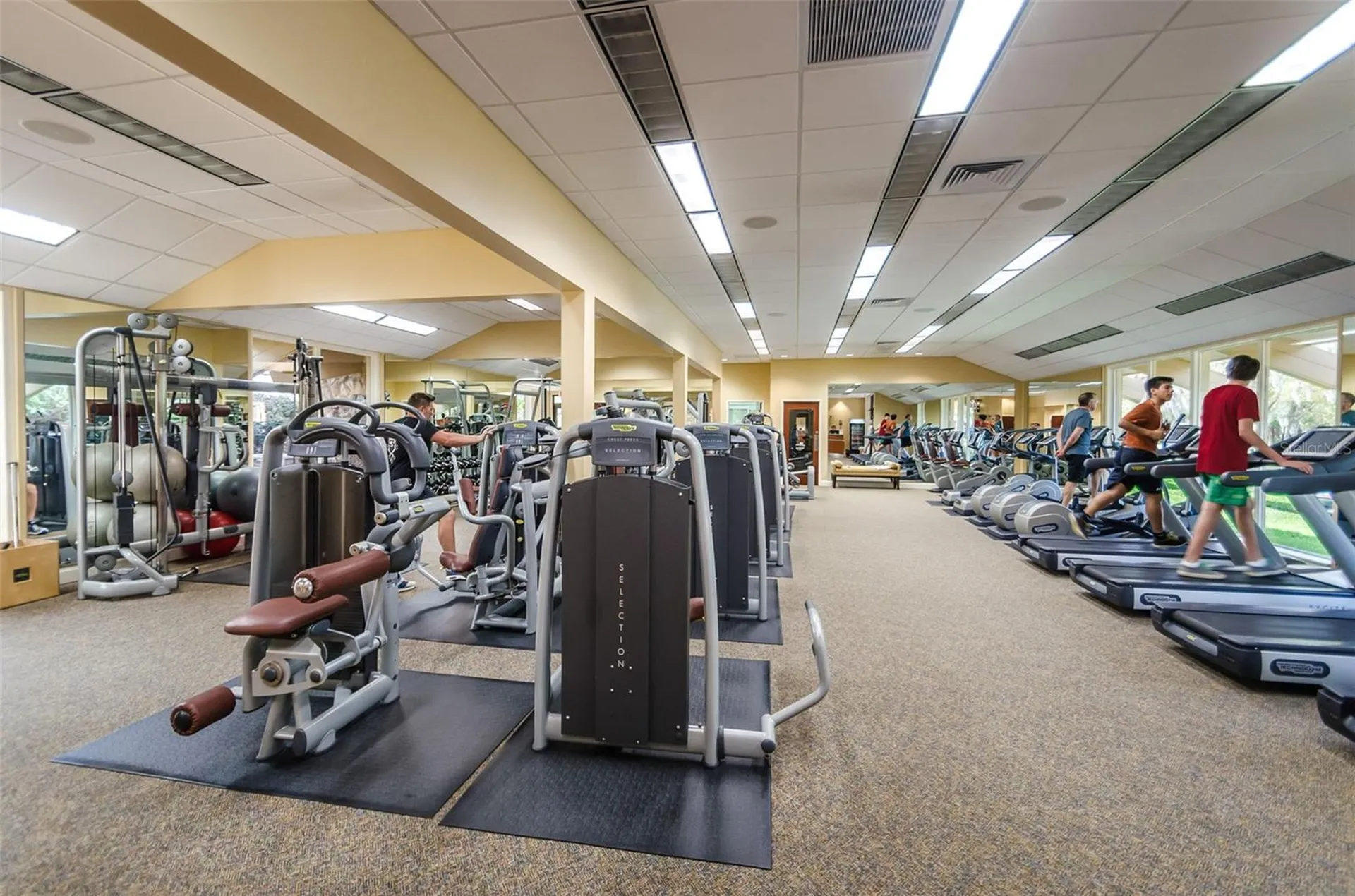 36750 N Us Highway 19 Palm Harbor FL 34684