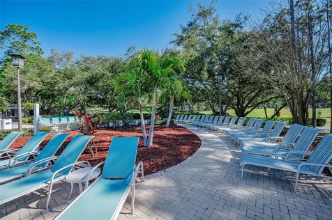 36750 N Us Highway 19 Palm Harbor FL 34684
