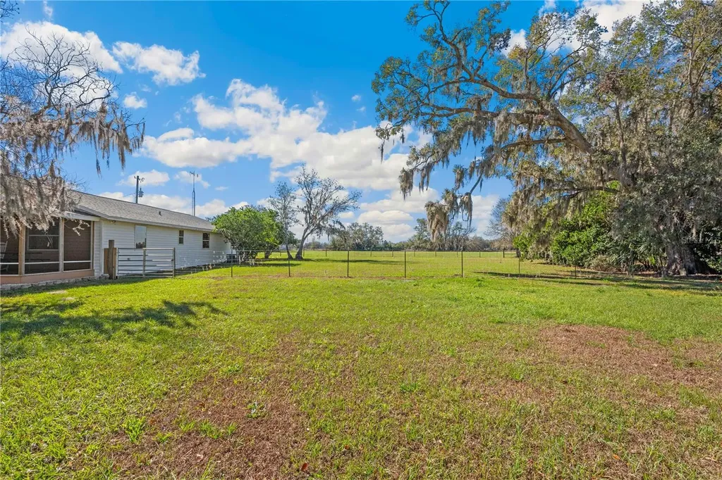Webster FL 33597