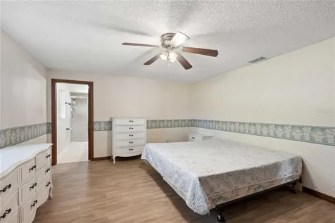 Webster FL 33597