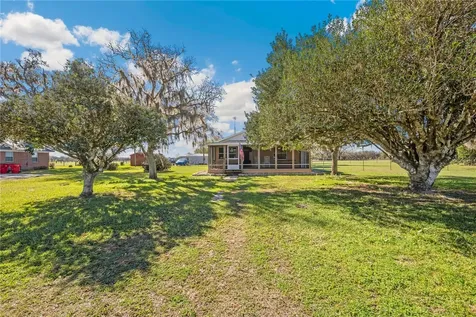 Webster FL 33597