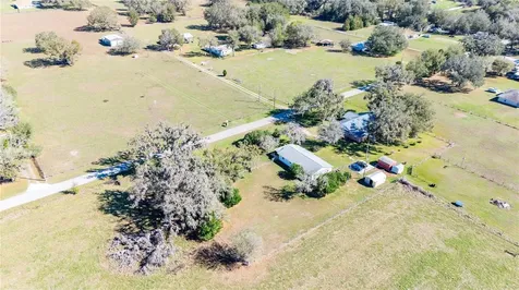 Webster FL 33597