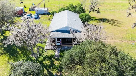 Webster FL 33597