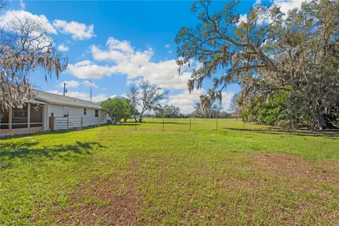 Webster FL 33597