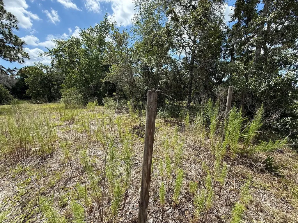 Lot 94 Galvenston Street Spring Hill FL 34610