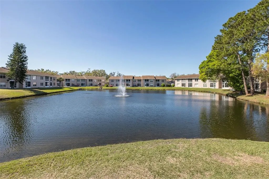 4933 Myrtle Oak Drive New Port Richey FL 34653