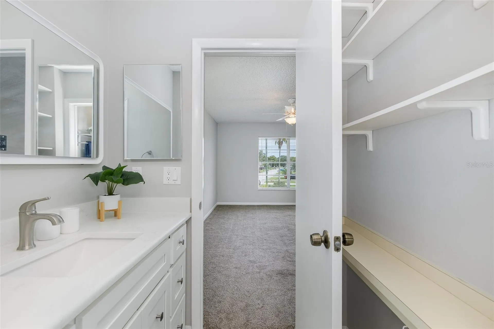 4933 Myrtle Oak Drive New Port Richey FL 34653