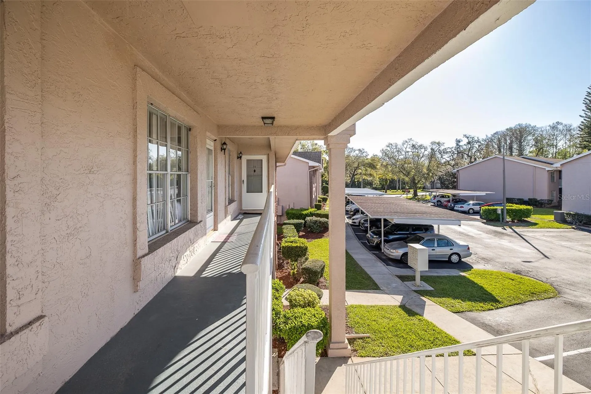 4933 Myrtle Oak Drive New Port Richey FL 34653