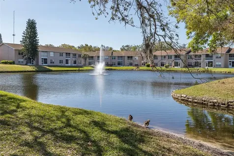 4933 Myrtle Oak Drive New Port Richey FL 34653