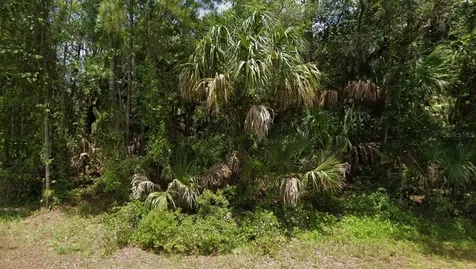 Apricot Street North Port FL 34288